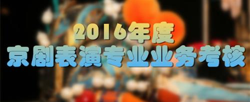 黑人大吊三级电影国家京剧院2016年度京剧表演专业业务考...